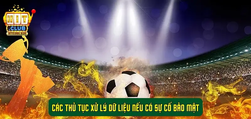 Các thủ tục xử lý dữ liệu nếu có sự cố bảo mật Các thủ tục xử lý dữ liệu nếu có sự cố bảo mật